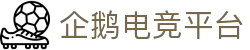 企鹅电竞平台 · 专业移动电竞社区